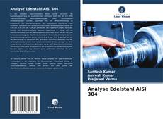 Capa do livro de Analyse Edelstahl AISI 304 
