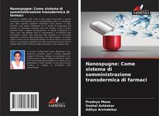 Capa do livro de Nanospugne: Come sistema di somministrazione transdermica di farmaci 