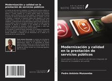 Bookcover of Modernización y calidad en la prestación de servicios públicos