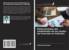 Couverture de Determinantes del rendimiento de los fondos de inversión en Pakistán