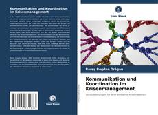 Kommunikation und Koordination im Krisenmanagement kitap kapağı