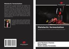 Couverture de Malolactic fermentation