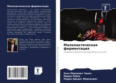 Bookcover of Малолактическая ферментация