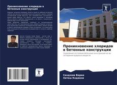 Проникновение хлоридов в бетонные конструкции kitap kapağı