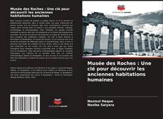 Capa do livro de Musée des Roches : Une clé pour découvrir les anciennes habitations humaines 