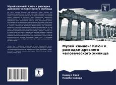 Bookcover of Музей камней: Ключ к разгадке древнего человеческого жилища