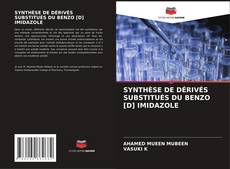 Bookcover of SYNTHÈSE DE DÉRIVÉS SUBSTITUÉS DU BENZO [D] IMIDAZOLE