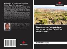 Bookcover of Dynamics of ecosystem services in the Oum Zes watershed