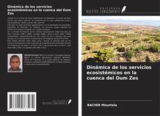 Couverture de Dinámica de los servicios ecosistémicos en la cuenca del Oum Zes