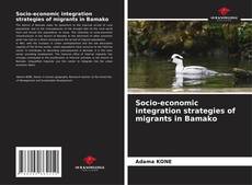 Buchcover von Socio-economic integration strategies of migrants in Bamako