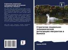 Buchcover von Стратегии социально-экономической интеграции мигрантов в Бамако