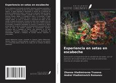 Bookcover of Experiencia en setas en escabeche