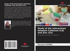 Bookcover of Study of the interactions between Cadmium (Cd) and Zinc (Zn)