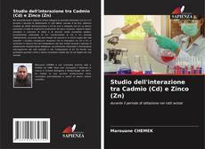 Borítókép a  Studio dell'interazione tra Cadmio (Cd) e Zinco (Zn) - hoz