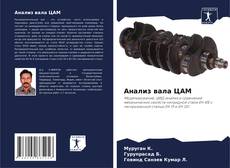 Анализ вала ЦАМ kitap kapağı