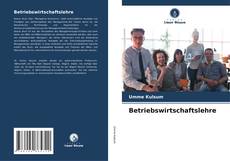 Bookcover of Betriebswirtschaftslehre