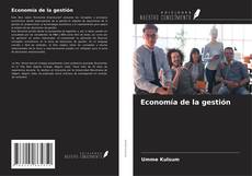 Economía de la gestión的封面