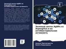 Buchcover von Зеленый синтез AgNPs из Aspergillus и их антибактериальная активность