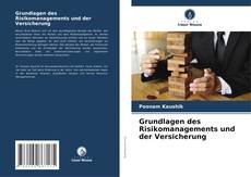 Buchcover von Grundlagen des Risikomanagements und der Versicherung