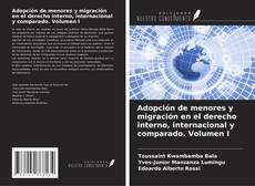 Bookcover of Adopción de menores y migración en el derecho interno, internacional y comparado. Volumen I