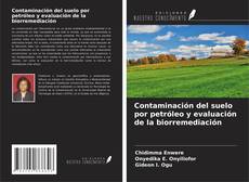 Capa do livro de Contaminación del suelo por petróleo y evaluación de la biorremediación 