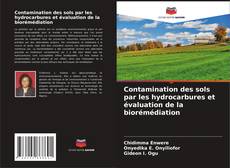 Contamination des sols par les hydrocarbures et évaluation de la biorémédiation kitap kapağı