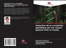 Bookcover of Induction de la variabilité génétique par les rayons gamma chez le Castor