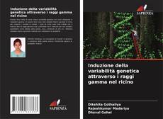 Bookcover of Induzione della variabilità genetica attraverso i raggi gamma nel ricino