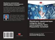 Portada del libro de Membrane copolymérique intégrée dans un nanocomposite SiO2-Polyaniline Coreshell