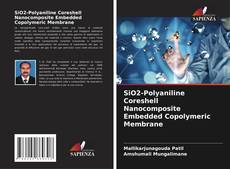 SiO2-Polyaniline Coreshell Nanocomposite Embedded Copolymeric Membrane的封面