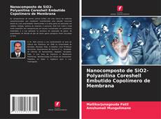 Portada del libro de Nanocomposto de SiO2-Polyanilina Coreshell Embutido Copolímero de Membrana