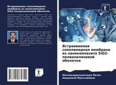 Borítókép a  Встраиваемая сополимерная мембрана из нанокомпозита SiO2-полианилиновой оболочки - hoz