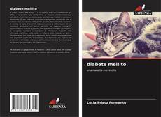 Bookcover of diabete mellito