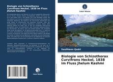 Buchcover von Biologie von Schizothorax Curvifrons Heckel, 1838 im Fluss Jhelum Kashmi