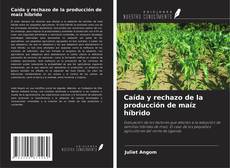 Capa do livro de Caída y rechazo de la producción de maíz híbrido 