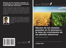 Copertina di Efectos de los metales pesados en la biomasa y la tasa de crecimiento de las plantas selectivas