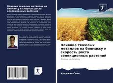 Buchcover von Влияние тяжелых металлов на биомассу и скорость роста селекционных растений