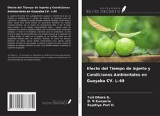 Capa do livro de Efecto del Tiempo de Injerto y Condiciones Ambientales en Guayaba CV. L-49 