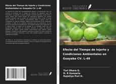 Borítókép a  Efecto del Tiempo de Injerto y Condiciones Ambientales en Guayaba CV. L-49 - hoz