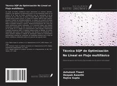 Couverture de Técnica SQP de Optimización No Lineal en Flujo multifásico