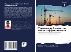 Обложка Управление бюджетом Анализ эффективности