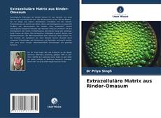 Extrazelluläre Matrix aus Rinder-Omasum的封面