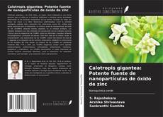 Bookcover of Calotropis gigantea: Potente fuente de nanopartículas de óxido de zinc