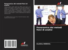 Panoramica dei metodi fisici di analisi kitap kapağı