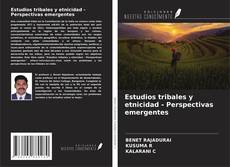 Buchcover von Estudios tribales y etnicidad - Perspectivas emergentes