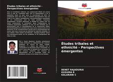 Copertina di Études tribales et ethnicité - Perspectives émergentes