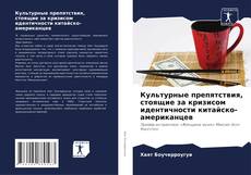 Обложка Культурные препятствия, стоящие за кризисом идентичности китайско-американцев