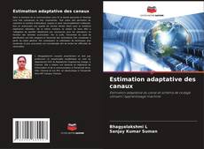 Estimation adaptative des canaux kitap kapağı