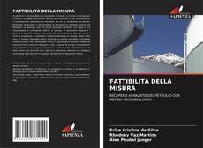 Buchcover von FATTIBILITÀ DELLA MISURA