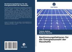 Portada del libro de Bestimmungsfaktoren für die Energieauswahl der Haushalte